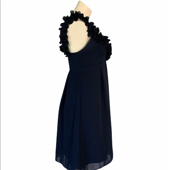 Lilly Pulitzer Special Dress - Picture 3 of 8